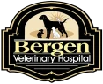 bergenvet-logo.png